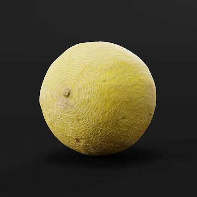 Juicy Fresh Ripe Yellow Melon With Textured Skin On Black Background 3d model
