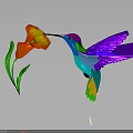 Colorful Hummingbird With Purple Wings Feeding On Orange Yellow Flower Dark Background Reflection