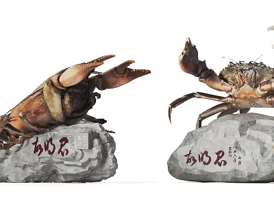 Decorative Garden Ornaments With Crab Shaped Designs On Artistic Stone Bases 3d model