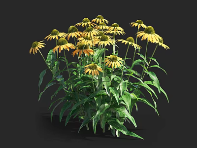 Yellow Flowers In Vase With Green Leaves For Home Decorative Arrangement 3d model