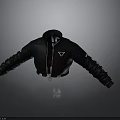 Modern Black Jacket With Stand Collar Front Zipper And Sleeve Accents