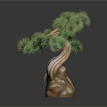 Artistic Indoor Bonsai Pine Tree With Green Foliage And Stone Base