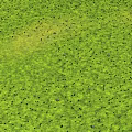 3D Model Of Undulating Terrain With Green Grass And Yellow Sand