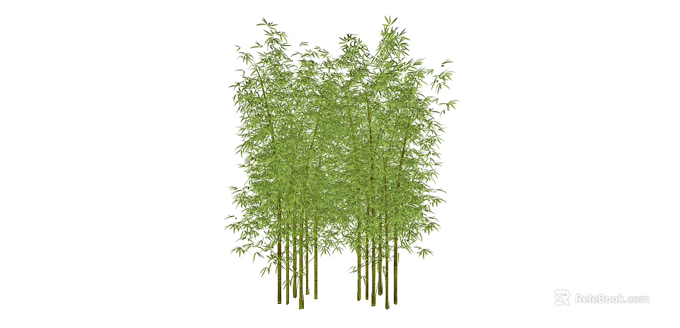 Tall Bamboo Grove With Lush Green Leaves And Straight Stems 3d model 