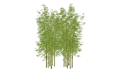 Modern bamboo dry landscape 3d model