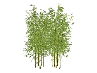 Modern bamboo dry landscape 3d model