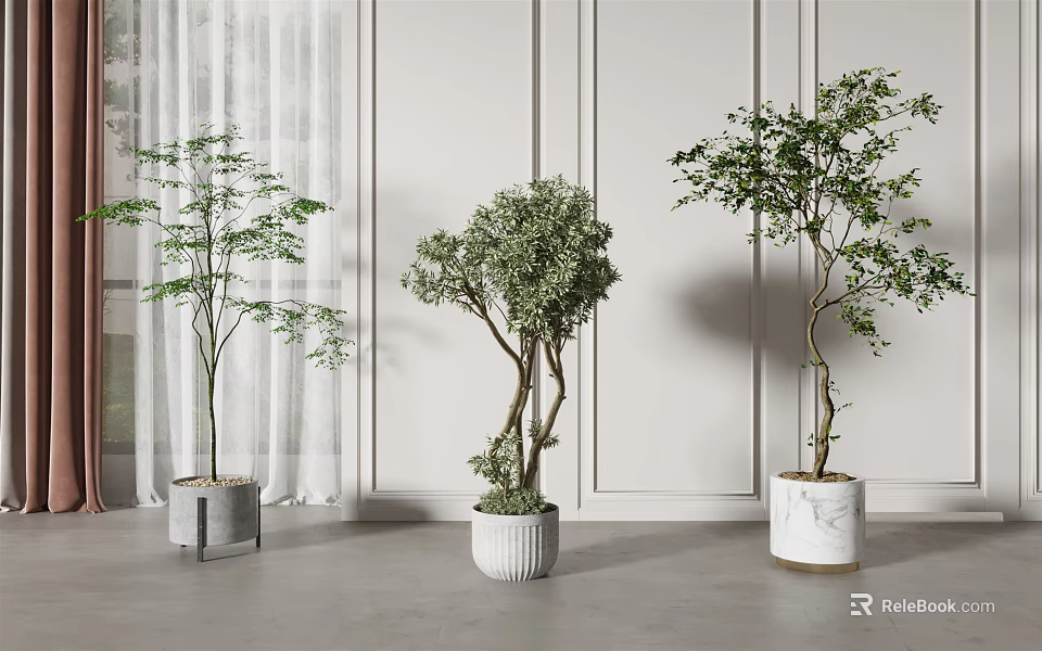 Stylish Bonsai Plants Indoor Display With Different Planters White Walls Curtains And Gray Floor 3d model 