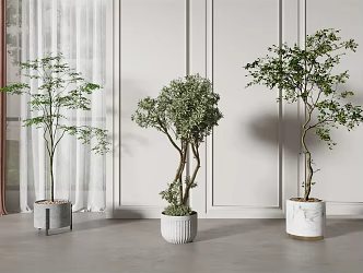 modern potted plant potted plant 3d model