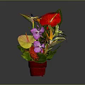 Colorful Plant With Red Flowers Purple Orchids Yellow Leaves Green Foliage And Red Pot