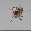 Pug with fairy wings standing and holding pink lollipop in mouth