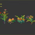 Colorful Flowers With Red Yellow Pink Orange Blooms Lush Green Leaves Against Gray Background Reflections