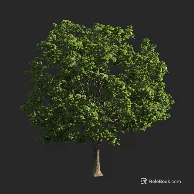 Lush Green Arbor With Dense Foliage And Strong Trunk In Natural Setting 3d model 
