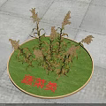 Withered Vegetable Type Shrubs Placed On Circular Green Mat With Red Sign