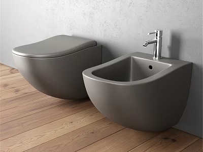 Modern Gray Wall Hung Toilet And Bidet In Bathroom With Wooden Floor 3d model