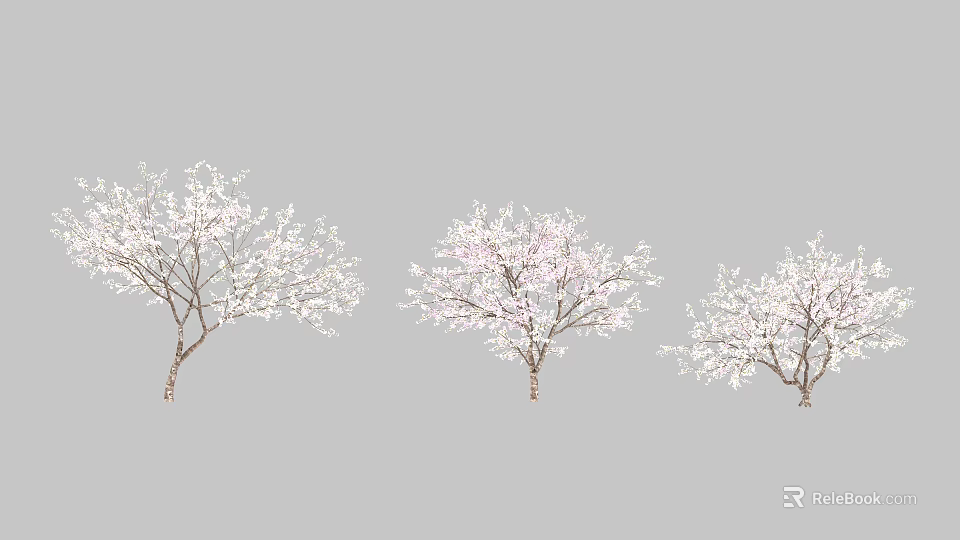 Beautiful Flowering Trees With White And Pink Blossoms In Full Bloom 3d model 