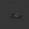 Black Cockroach With Long Antennae And Spiny Legs On Dark Surface