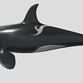 Realistic Black And White Orca Marine Animal Toy Model Figure