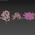 Three Flowering Arbors with Pink Purple Violet Blooms and Human Silhouettes Below