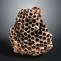Bee Made Natural Honeycomb Structure With Intricate Hexagonal Cells Design Details 3d model