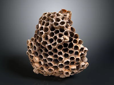 Bee Made Natural Honeycomb Structure With Intricate Hexagonal Cells Design Details 3d model