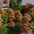 Vibrant Park Landscape With Colorful Trees White Gazebo And Lush Green Grass