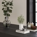 Green Plants In Glass And White Vases On Window Sill With Mountain View Window Grilles
