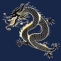 Chinese Ancient Dragon Pattern Rui Beast Xiang Long Shenlong Texture Dragon Totem Fire Dragon Pattern Chen Long Paper-cut New Year of the Dragon Kirin 6 3d model