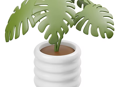 Green Monstera Leaves Potted Plant In White Spiral Patterned Pot With Brown Soil 3d model
