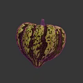 Vibrant Heart Shaped Pumpkin with Green Yellow Spotted Pattern as Decorative Plant