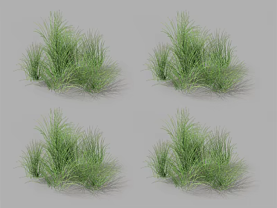 Lush Green Tufted Grass Clumps For Natural Garden Landscaping Decor 3d model