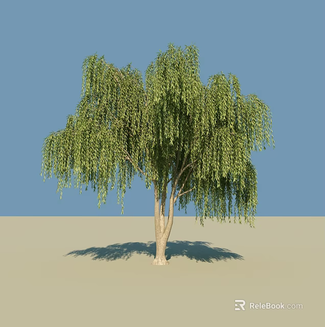Weeping Willow Tree With Green Drooping Branches And Leaves Against Blue Sky And Light Ground 3d model 