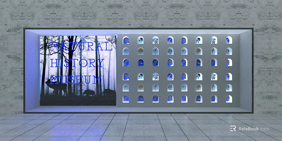 Natural History Museum Display Window with Multiple Compartments Holding Various Exhibits and Blue Lighting 3d model 
