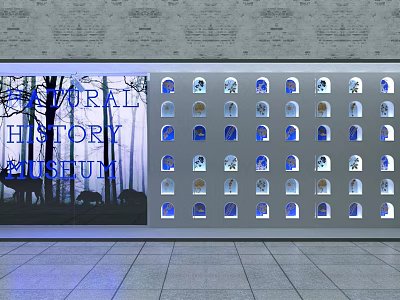Natural History Museum Display Window with Multiple Compartments Holding Various Exhibits and Blue Lighting 3d model