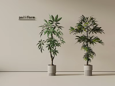 Potted Plants with Lush Green Leaves in Concrete Pots for Modern Poliform Interior Decor 3d model
