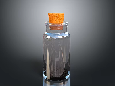 Clear Glass Bottle With Cork Stopper For Kitchen Storage And Daily Use 3d model