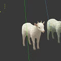 White Sheep Displayed In Four Different Angles Front And Side Views