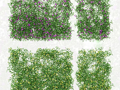 Different Types of Vines With Purple Yellow Flowers And Lush Green Foliage 3d model