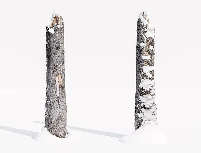 Snow Covered Wooden Tree Trunks With Natural Bark Texture On White Background 3d model
