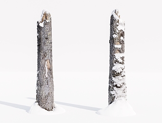 Modern Dead Wood Sump Dead Tree 3d model