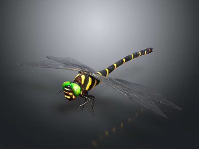 Green Eyed Dragonfly With Black And Yellow Striped Body And Transparent Wings 3d model