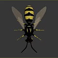 3D Wasp Model With Black And Yellow Stripes Transparent Wings Yellow Legs On Gray Background