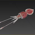 Red Squid Gracefully Swimming in Deep Blue Water With Long Tentacles 3d model