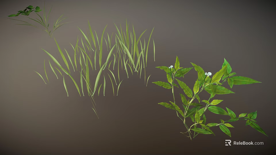 Green Plants With Slender Grass Leaves And Branches With White Small Flowers 3d model 