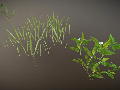 Green Plants With Slender Grass Leaves And Branches With White Small Flowers 3d model