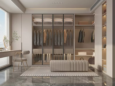Modern Walk in Closet Interior with Glass Door Cabinets Hanging Clothes Bench and Rug 3d model