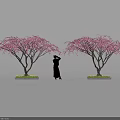 Beautiful Bonsai Trees with Pink Flowers and Silhouette Person Standing Between