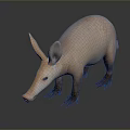 3D Rendered Aardvark Game Movie Character With Pink Skin Long Snout Large Ears Standing Pose