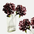 Beautiful Purple Hydrangeas Arranged in Transparent Striped Vase on White Background