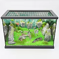 Stunning Aquarium Setup With Green Clownfish Decorative Rocks And Lush Aquatic Plants