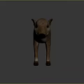 Realistic 3D Model of Brown Striped Wild Boar Standing on Gray Background